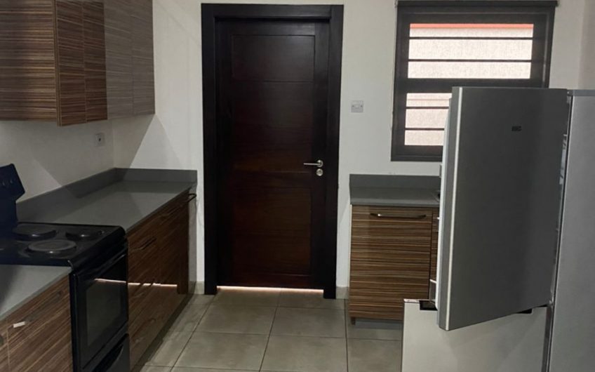 2 bedroom fully furnished and services apartments, with staff quarters. Area 6