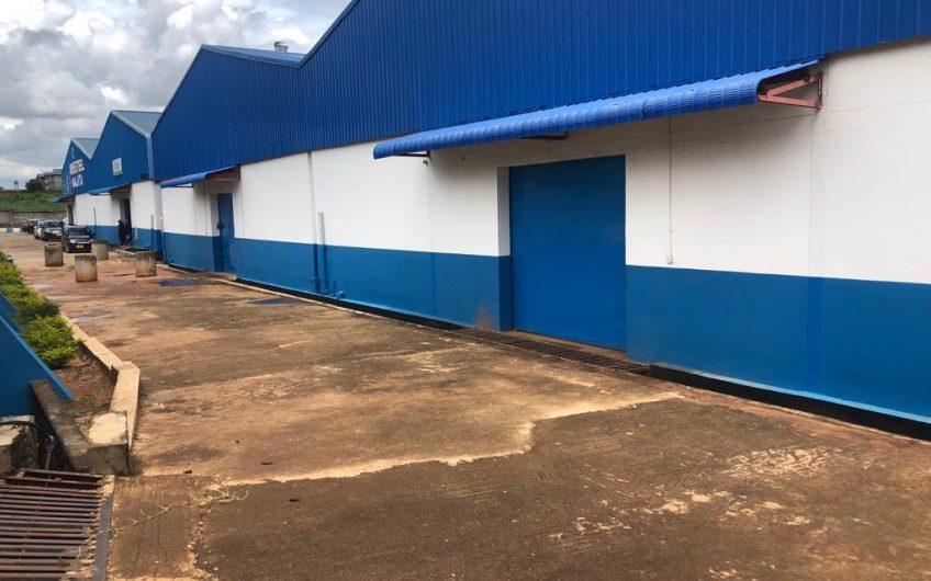 1300 square meters warehouse near crossroads for rent